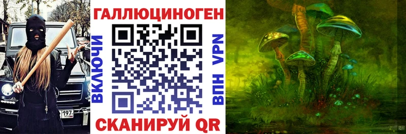 Псилоцибиновые грибы Psilocybe Заозёрск